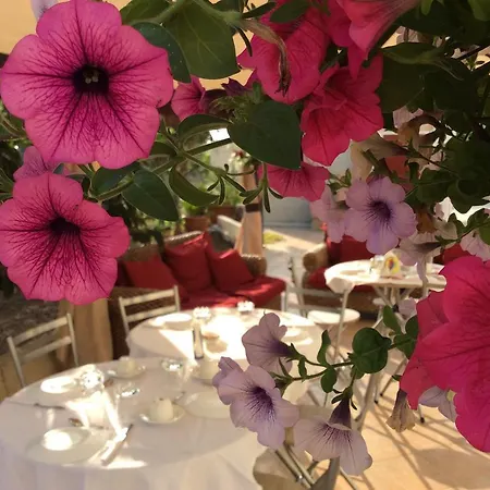 بيت ضيافة Siciliantica 3*