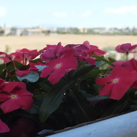 Bed & Breakfast Siciliantica Rilievo